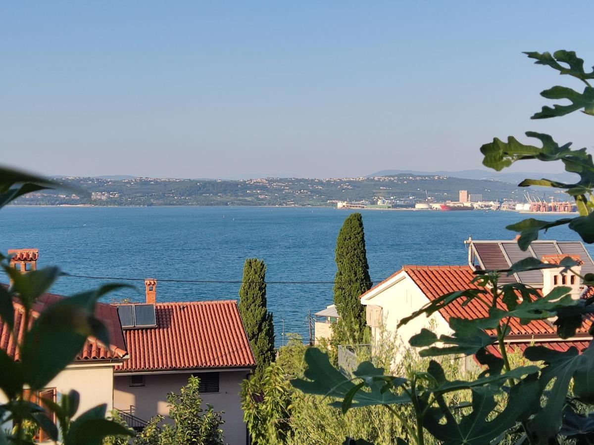 Apartment Rea Capodistria Esterno foto